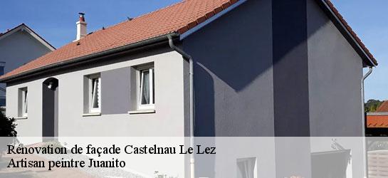 Rénovation de façade  34170