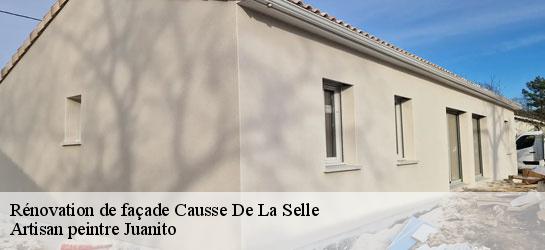 Rénovation de façade  34380