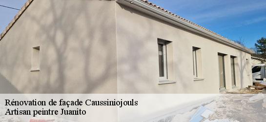 Rénovation de façade  34600