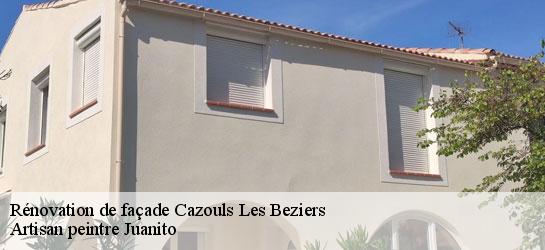 Rénovation de façade  34370