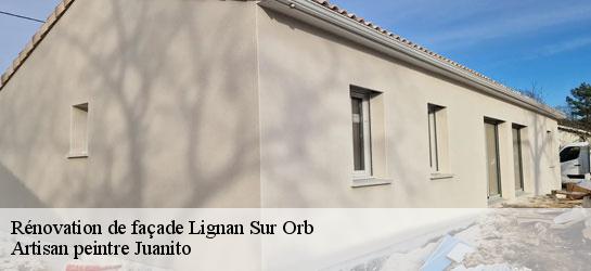 Rénovation de façade 34490