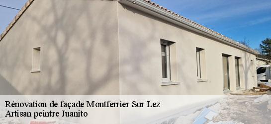 Rénovation de façade  34980