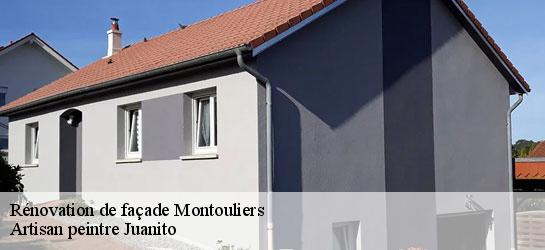 Rénovation de façade  34310