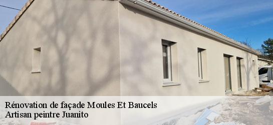 Rénovation de façade 34190