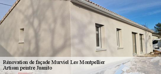 Rénovation de façade  34570