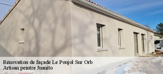 Rénovation de façade 34600