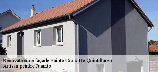 Rénovation de façade  34270