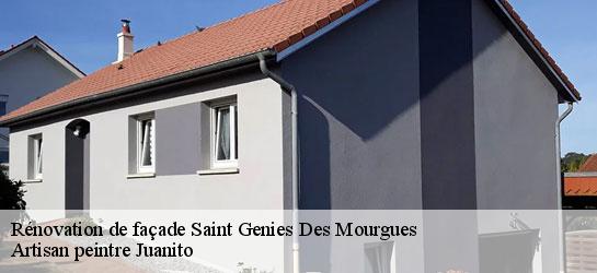 Rénovation de façade  34160