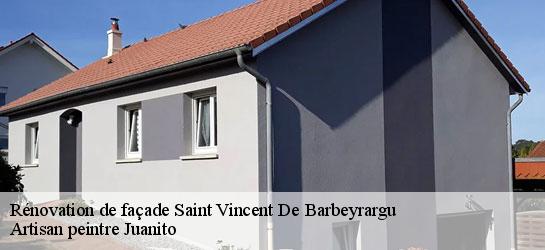 Rénovation de façade  34730