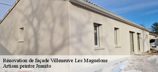 Rénovation de façade  34750