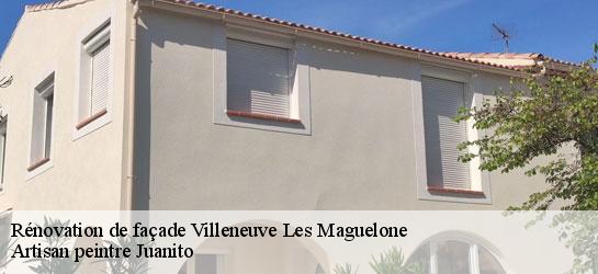 Rénovation de façade  34750