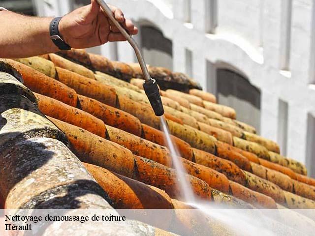 Nettoyage demoussage de toiture Hérault 