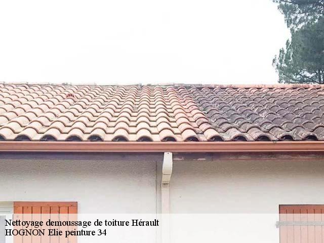 Nettoyage demoussage de toiture Hérault 