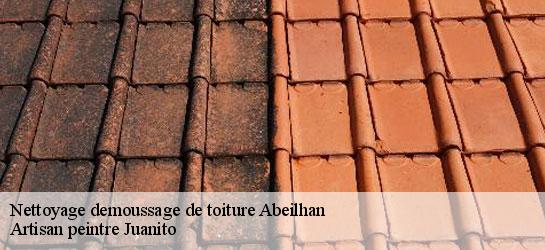 Nettoyage demoussage de toiture 34290