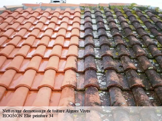 Nettoyage demoussage de toiture  aigues-vives-34210 HOGNON Elie peinture 34