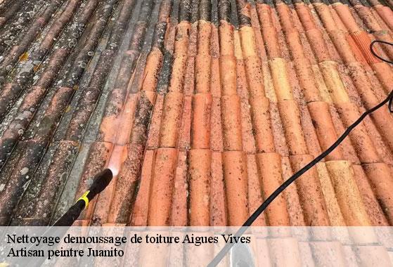 Nettoyage demoussage de toiture aigues-vives-34210 Artisan peintre Juanito