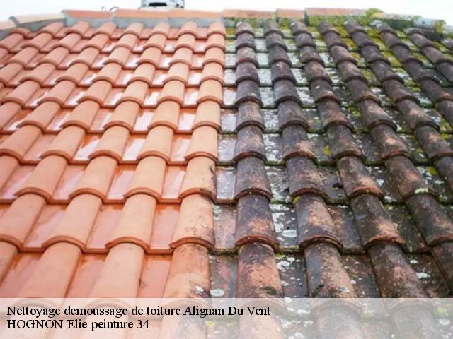 Nettoyage demoussage de toiture  alignan-du-vent-34290 HOGNON Elie peinture 34