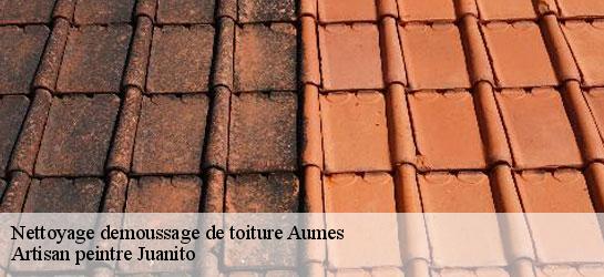 Nettoyage demoussage de toiture 34530