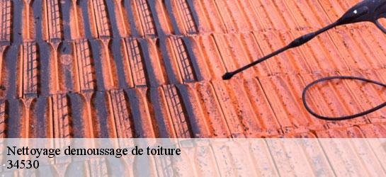 Nettoyage demoussage de toiture 34530