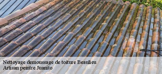 Nettoyage demoussage de toiture  34160