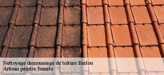 Nettoyage demoussage de toiture  34360