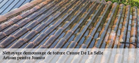 Nettoyage demoussage de toiture 34380