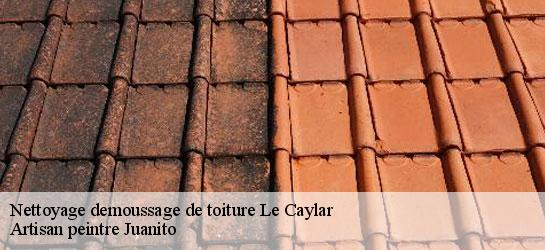 Nettoyage demoussage de toiture  34520