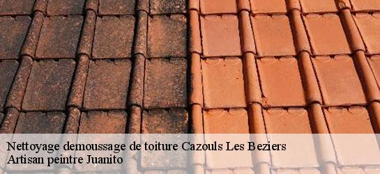 Nettoyage demoussage de toiture  34370