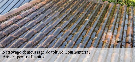 Nettoyage demoussage de toiture 34660