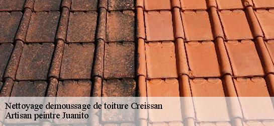 Nettoyage demoussage de toiture  34370