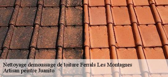 Nettoyage demoussage de toiture 34210