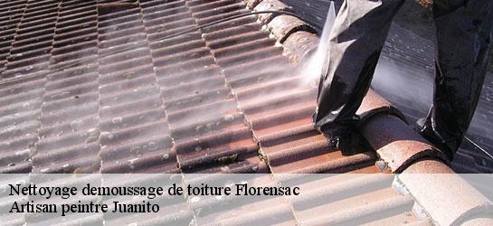 Nettoyage demoussage de toiture 34510