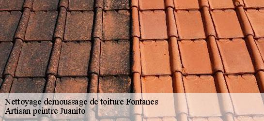 Nettoyage demoussage de toiture  34270