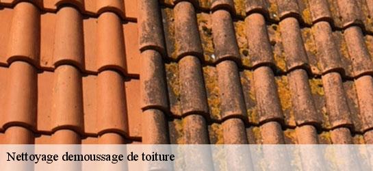 Nettoyage demoussage de toiture  34790