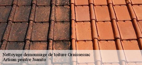 Nettoyage demoussage de toiture 34260