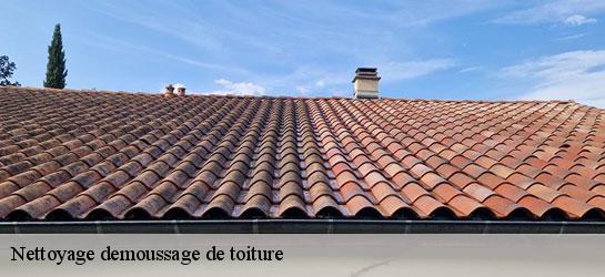 Nettoyage demoussage de toiture 34830