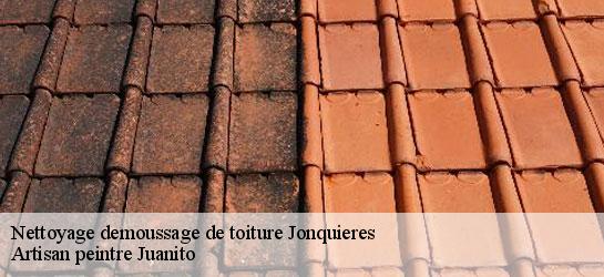 Nettoyage demoussage de toiture 34725