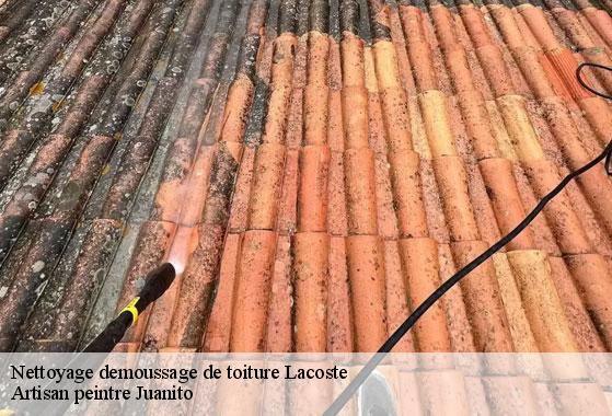 Nettoyage demoussage de toiture lacoste-34800 Artisan peintre Juanito