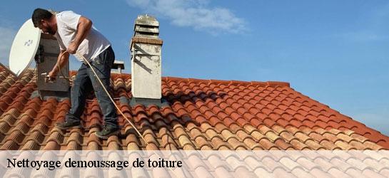 Nettoyage demoussage de toiture  34880