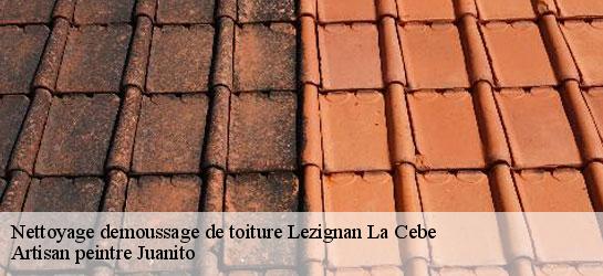 Nettoyage demoussage de toiture  34120