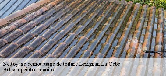 Nettoyage demoussage de toiture  34120