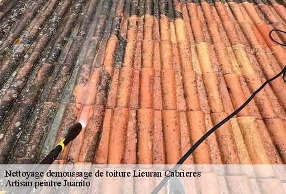 Nettoyage demoussage de toiture lieuran-cabrieres-34800 Artisan peintre Juanito