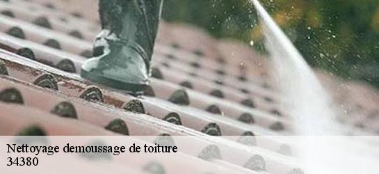 Nettoyage demoussage de toiture 34380