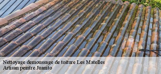 Nettoyage demoussage de toiture 34270