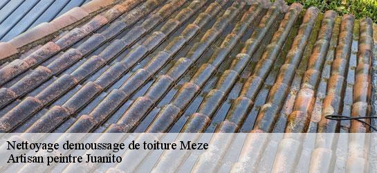 Nettoyage demoussage de toiture 34140