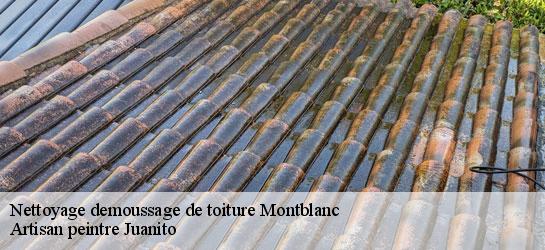 Nettoyage demoussage de toiture 34290