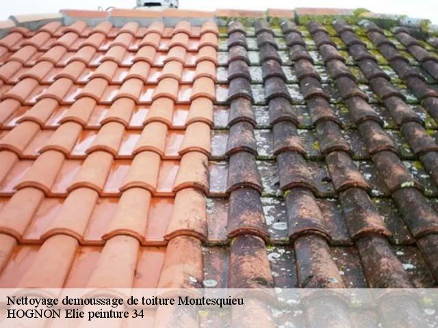 Nettoyage demoussage de toiture  montesquieu-34320 HOGNON Elie peinture 34
