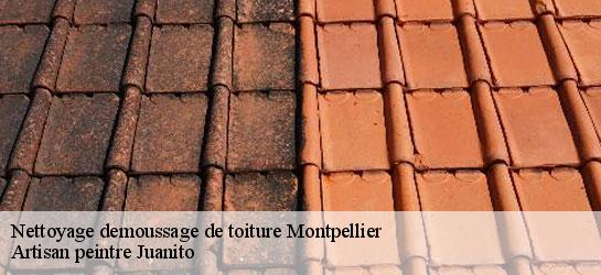 Nettoyage demoussage de toiture 34000