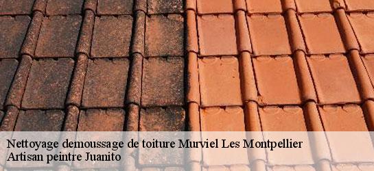 Nettoyage demoussage de toiture 34570