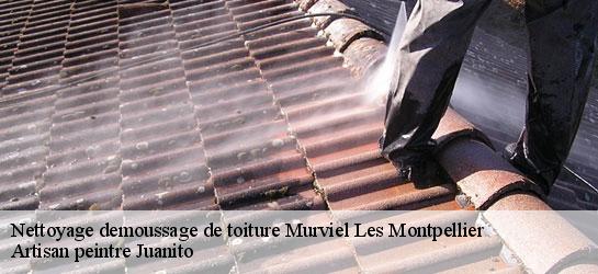 Nettoyage demoussage de toiture 34570